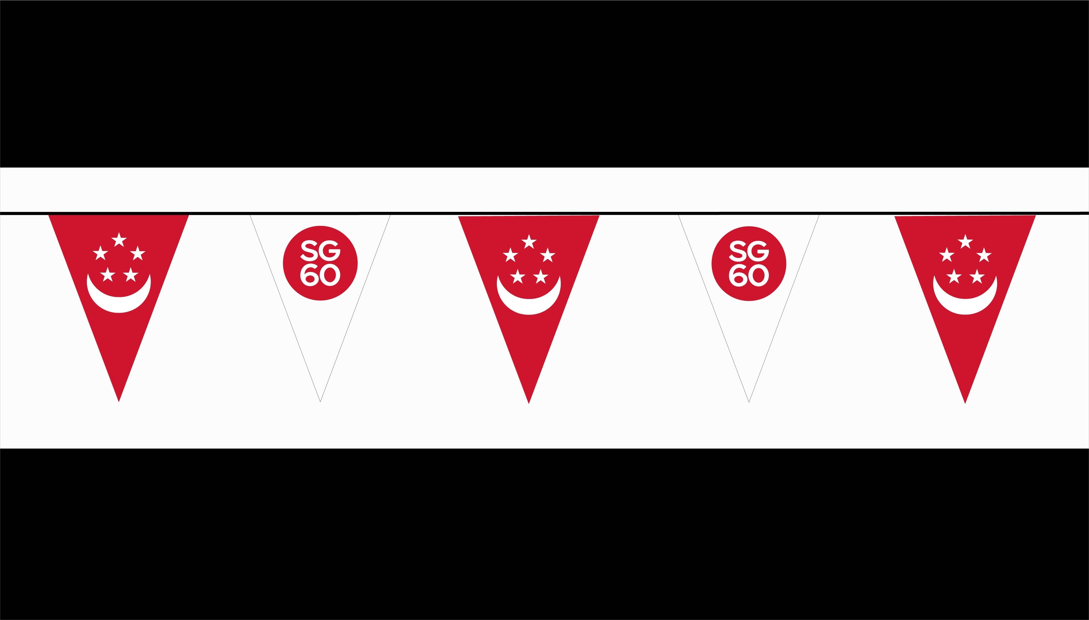 Triangular Cloth Pennants NH60