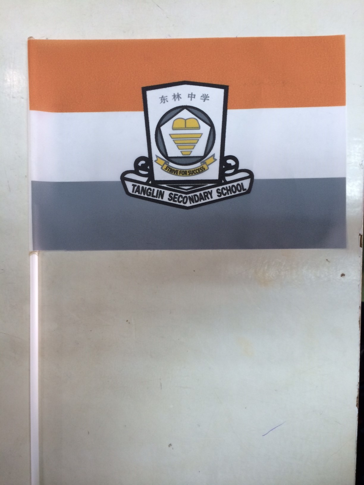 Customised Hand Waving Flag